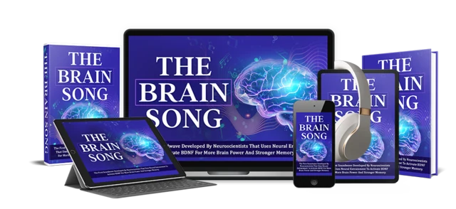 The Brain Song digital audio artwork shown on laptop, tablet and phone screens